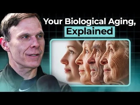 Biological aging clocks: how to interpret your results